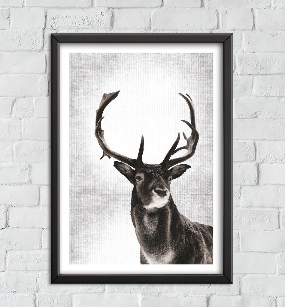 Poster-archtwain-Poster - Stag-home office decorations